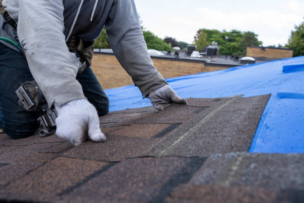 Best Residential Roofing Contractor  in Chesterfield, IN