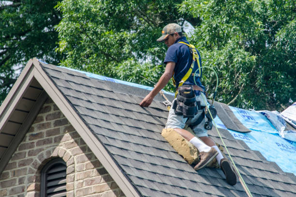 Best Metal Roofing Contractor  in Chesterfield, IN